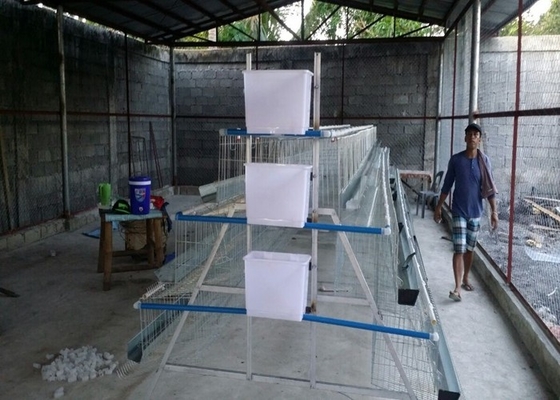 Galinha de 3 pássaros das salas 500-1000 das séries 4 que produz gaiolas para explorações agrícolas filipinos