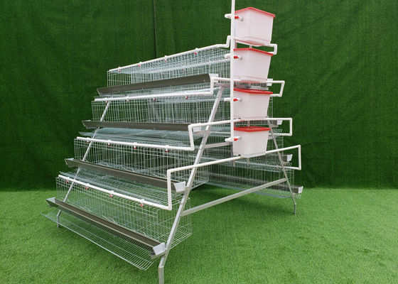 Um tipo equipamento galvanizado da produção animal de gaiolas de bateria das aves domésticas