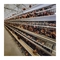Equipamento de produção de ovos para aves de capoeira de gaiolas de camada automática tipo H