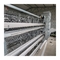 Equipamento de produção de ovos para aves de capoeira de gaiolas de camada automática tipo H