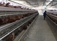 Ovos PVOC camada Gaiolas de frango para 2000 aves Construção de quintas de aves de capoeira