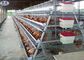 4 Níveis 128 Pássaros camada Caixa de frango Galvanizado Poultry Farm para galinhas