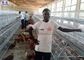 A gaiola da galinha da camada do ovo, aves domésticas das galinhas Metal a gaiola da galinha para Kenya
