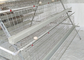 Gaiola galvanizada 160 galinhas de alimentação automática da galinha que coloca Hen Cages