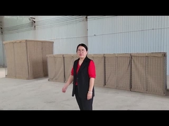 Apresentação de amostras do workshop de barreiras defensivas