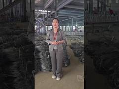 Workshop de malha de arame invisível