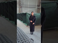 Modelo de barreira defensiva 10 - Explicação de perto