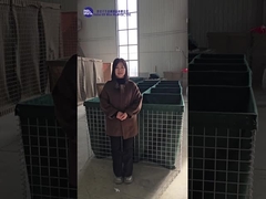 Vários modelos de demonstração e explicação da barreira defensiva