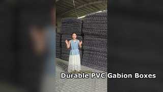 Caixa revestida de PVC de malha de arame de ferro galvanizado