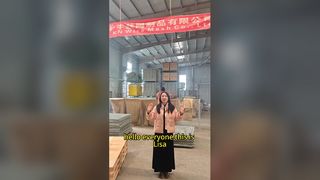 Os sacos de areia galvanizaram a rede de arame resistente do metal do bastião defensivo da barreira