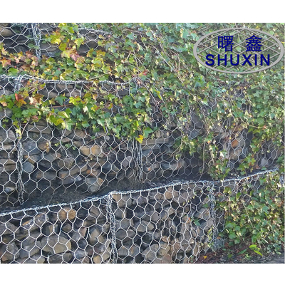 O Pvc revestiu cestas galvanizadas de Gabion jardina a rede de arame 2*1*1m do ferro