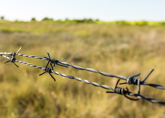 Uso das paredes da prisão 12.5 Gauge Double Twisted Galvanized Barbed Wire