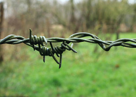 Jardim Anti-roubo 50kg Duplo Filamento Reverso Torcer Electro Barbed Wire Roll