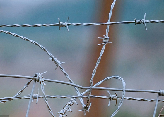 Proteção dos agricultores em bobinas de arame farpado revestidas de PVC/galvanizadas