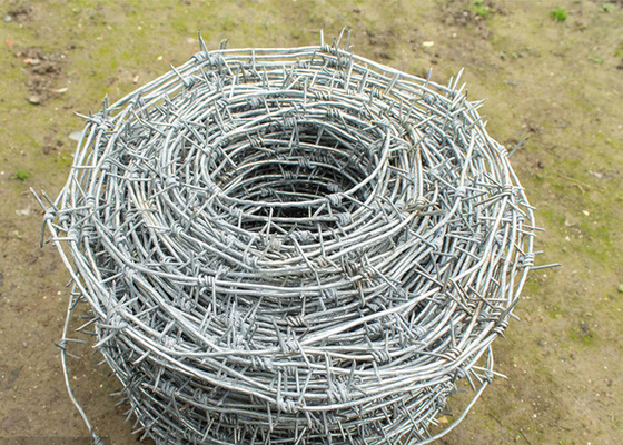 Proteção agrícola Fios de barbante de aço galvanizado a quente