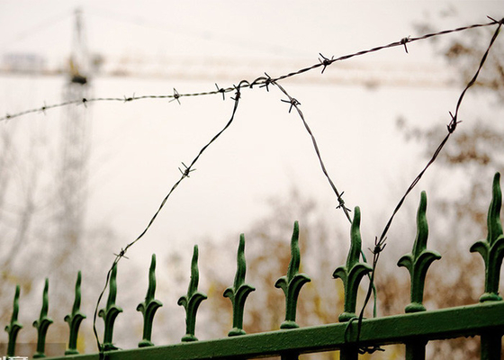 Resistência à ferrugem 1,8 mm Duplo Filamento Torção Reversa Electro Barbed Wire Roll