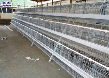 A gaiola da galinha de 3 camadas/a gaiola do cultivo aves domésticas da camada projeta o tempo da longa vida