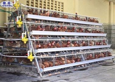 A gaiola da galinha da camada de 10000 ovos/a gaiola camada da exploração avícola personalizou o serviço