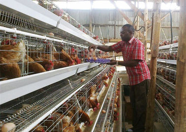 A gaiola de bateria da camada da galinha da série da exploração agrícola 4 de Tanzânia, aves domésticas prende o sistema