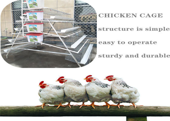 5 séries que cultivam a gaiola da criação de animais da galinha Q235