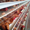 160 camadas de aves galinha gaiola de aço frango equipamento agrícola Q235 fio 1,95 m galvanizado