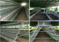 160 galinhas poedeiras de alimentação automáticas das aves domésticas da exploração agrícola das galinhas gaiola