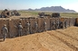 Barreiras defensivas resistentes de mil. 10 mil. 3 Hesco dos sacos de areia das barreiras para a escala de tiro