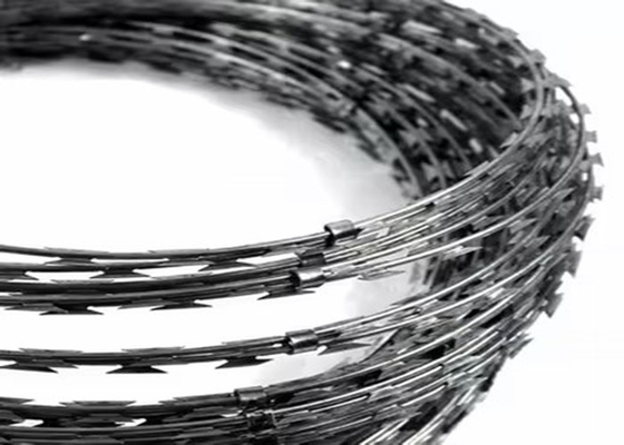 Modern Security Fencing Razor Barbed Wire com opções personalizáveis