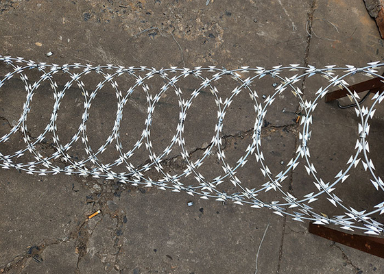 Forte Defensivo Galvanizado Razor Barbed Wire Roll para Fronteiras Seguras