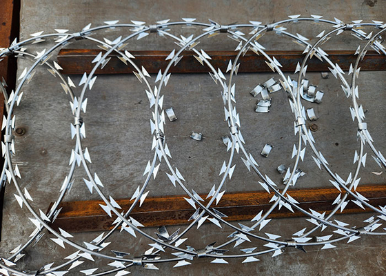 Forte Defensivo Galvanizado Razor Barbed Wire Roll para Fronteiras Seguras