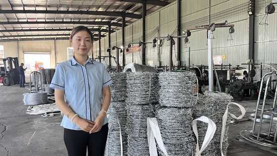 Fábrica Hot Dip Galvanized Barbed Wire For Mesh Security Fencing 12,5 Gauge 18 Gauge PVC revestido de ferro Barbed Wire