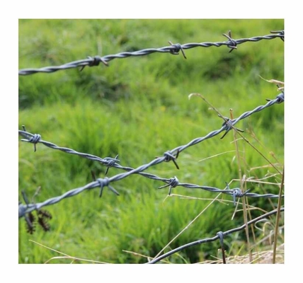 Venda a retalho de arame farpado de aço galvanizado para uso doméstico