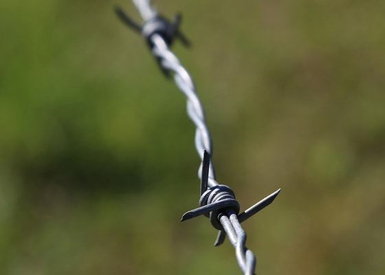 Utilização de paredes de prisão Anti-climbing Single Strand PVC revestido com arame farpado de ferro