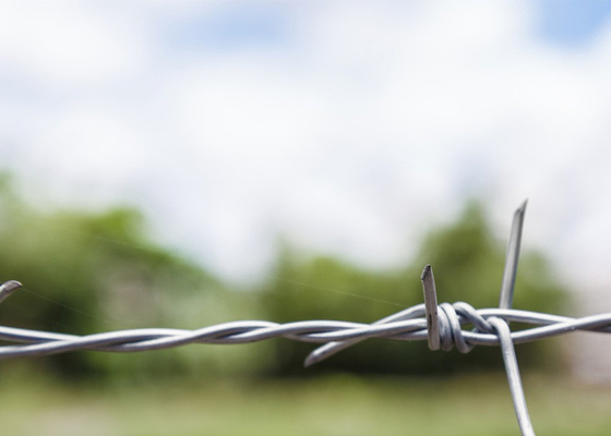 Utilização de paredes de prisões de fios duplos de fios tradicionais de arame farpado elétrico