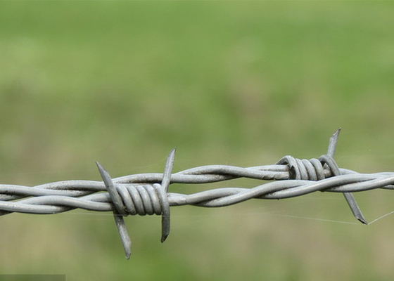 Utilização de paredes de prisão Anti-climbing Double Strand Reverse Twist Barbed Wire