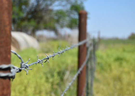 Utilização de paredes de prisão Anti-climbing Double Strand Reverse Twist Barbed Wire