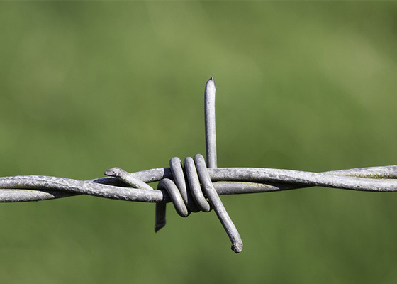 Utilização de paredes de prisões de fios duplos, bobinas de arame farpado galvanizado tradicional