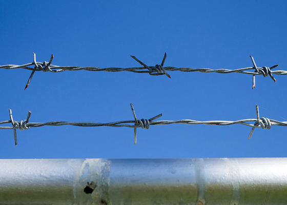 Utilização das paredes da prisão Fios de barbante de aço galvanizado