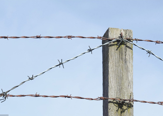 Jardim Anti-roubo Single Strand Galvanizado Aço Barbed Wire Fence