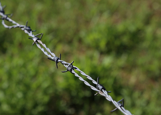 Jardim Anti-roubo Duplo Filamento inverso Torcer Quente Mergulhado Galvanizado Barbed Wire Roll
