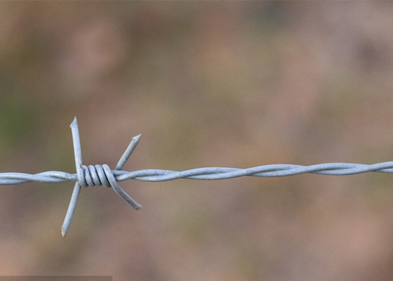 Jardim Anti-roubo Duplo Filamentos Tradicionais Torcer Electro Barbed Wire bobinas