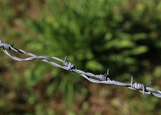 Jardim Anti-roubo Torção 3 ou 4 polegadas Barbe Distancia Hot Dip galvanizado Barbed Wire