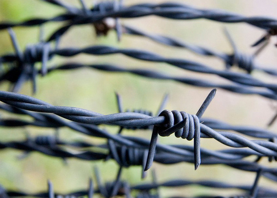 Arame farpado de segurança galvanizado a quente Arame farpado de alto diâmetro para limites seguros