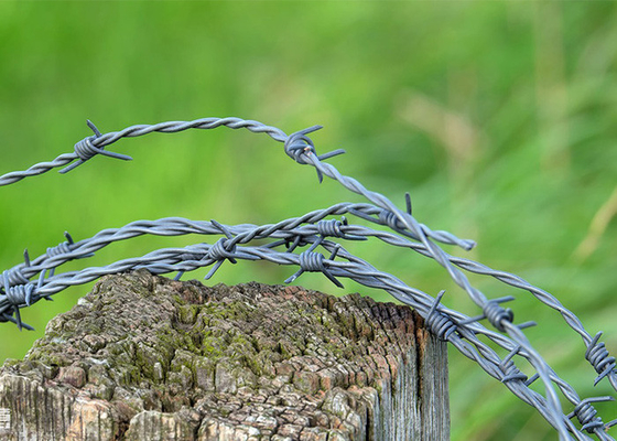 Longo de 200 m de fio de barro galvanizado