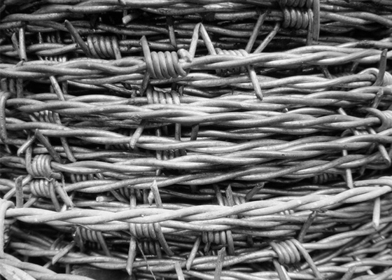 Arame farpado galvanizado duplo torcido de calibre 12,5
