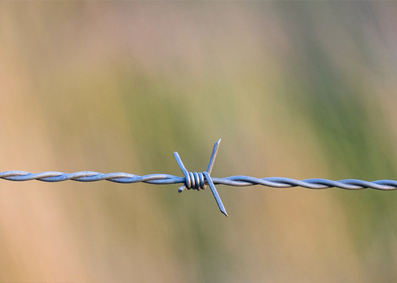 Proteção agrícola Fios de barbante galvanizados de filamentos únicos