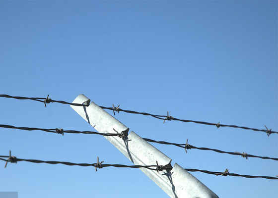 Protecção de instalações de construção de cercas de arame farpado de aço galvanizado de fio de barro