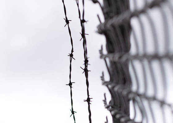 Proteção da exploração agrícola Anticlimate Single Strand PVC Coated Iron Barbed Wire