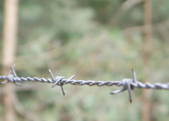 Protecção de agricultores Rolo de arame farpado galvanizado de fios de barro duplo de filamento inverso de torção quente