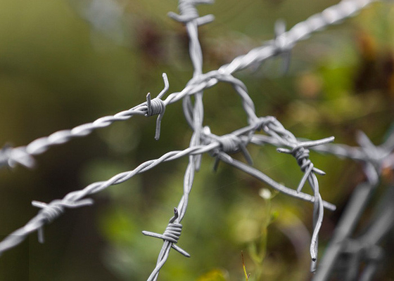Protecção de fazendas Dobro filamento de bobinas de arame farpado eletrónico tradicional
